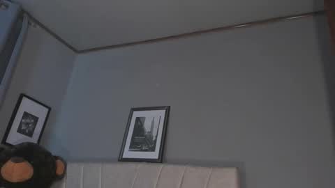 Carolina online show from January 2026 02:17:01 AM