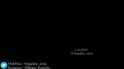 Snapshot of angeline_swan chatting on December 2024 08:55:01 PM Megan online show from December 2024 08:55:01 PM