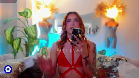 Snapshot of angelpeach_ chatting on December 2025 12:54:01 PM Angel online show from December 2025 12:54:01 PM