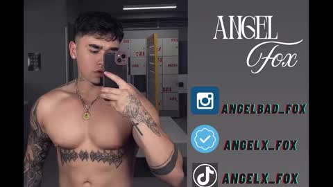 Snapshot of angelx_fox chatting on November 2025 05:40:01 AM Angel Fox online show from November 2025 05:40:01 AM