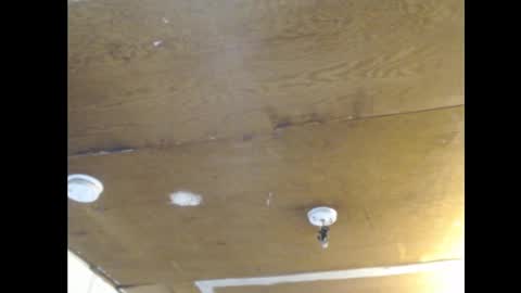 Snapshot of anilyseardor chatting on February 2025 02:11:02 PM Ani online show from February 2025 02:11:02 PM