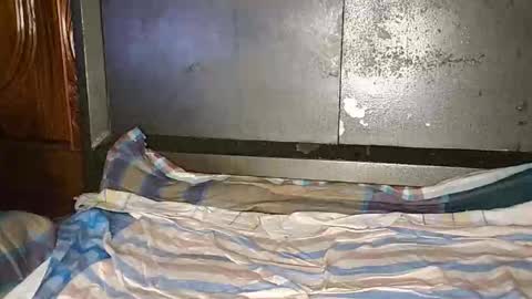 anis4551 online show from January 2026 08:14:02 PM