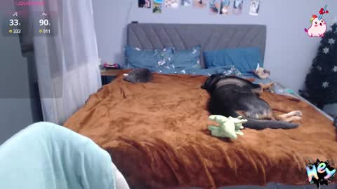 Anadirectgirl online show from January 2025 06:41:02 PM