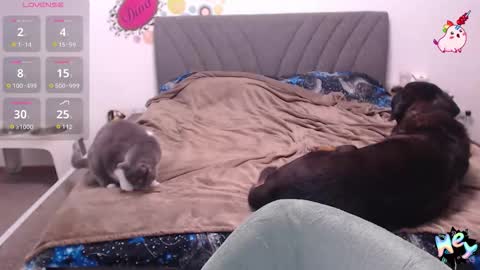 Anadirectgirl online show from January 2026 06:10:01 PM