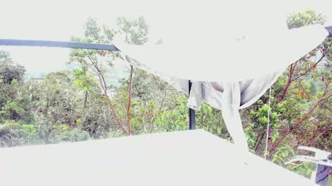 Snapshot of anna_wells chatting on March 2026 02:29:01 PM Anna Weells online show from March 2026 02:29:01 PM