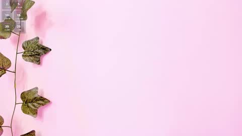 Snapshot of annebull_ chatting on February 2025 09:23:02 PM Anne online show from February 2025 09:23:02 PM