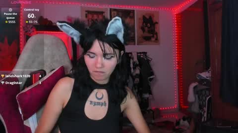 anneharpeer online show from April 2026 05:41:01 AM