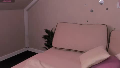 Joyce Howard online show from May 2026 02:19:02 AM