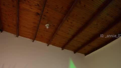 Snapshot of annie_barozzi chatting on January 2025 01:28:01 PM annie_barozzi online show from January 2025 01:28:01 PM