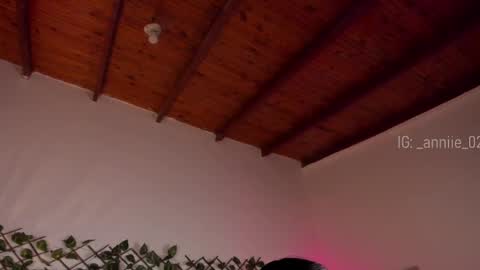 Snapshot of annie_barozzi chatting on January 2025 01:36:01 PM annie_barozzi online show from January 2025 01:36:01 PM