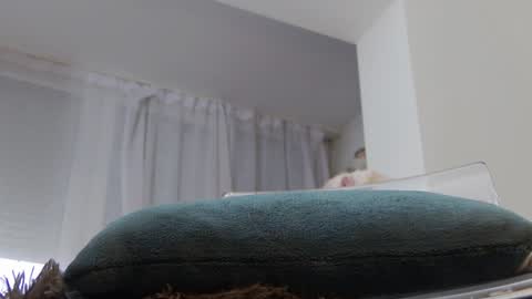 Anna online show from January 2025 10:07:02 AM