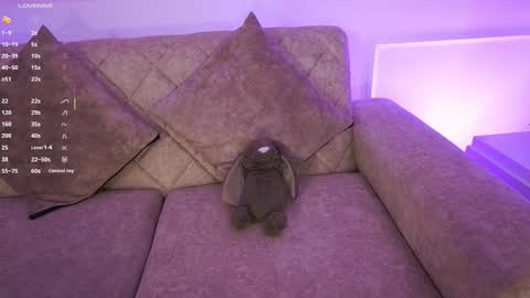 Ana online show from March 2026 12:10:02 PM