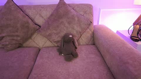 Ana online show from April 2026 11:41:02 AM