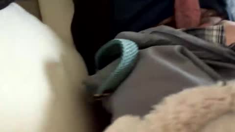 anonomousloser online show from March 2026 02:43:01 PM