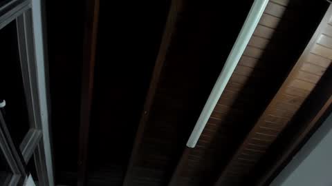 Antonela online show from December 2024 05:36:02 AM