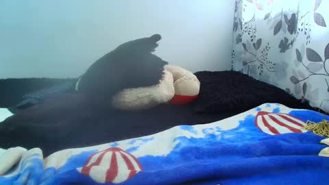 ANTONELLA WILLIAM  INDEPENDIENTE online show from February 2025 05:09:01 PM