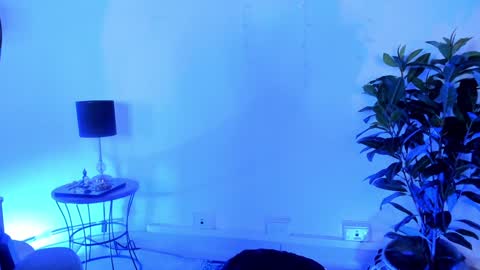 Snapshot of antoniacasarini chatting on December 2024 08:54:02 PM Antonia online show from December 2024 08:54:02 PM