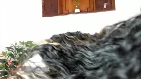 Snapshot of antoniacasarini chatting on March 2025 04:46:01 AM Antonia online show from March 2025 04:46:01 AM