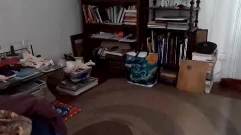 Snapshot of antonino85 chatting on December 2024 07:11:02 PM antonino85 online show from December 2024 07:11:02 PM