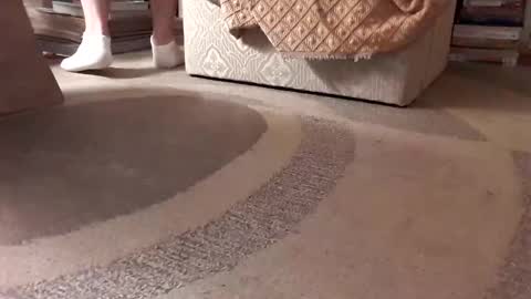 Snapshot of antonino85 chatting on January 2025 02:36:01 AM antonino85 online show from January 2025 02:36:01 AM