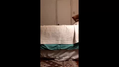 Snapshot of antonino85 chatting on March 2026 11:09:01 PM antonino85 online show from March 2026 11:09:01 PM