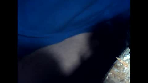 antxon12 online show from April 2026 07:10:01 PM