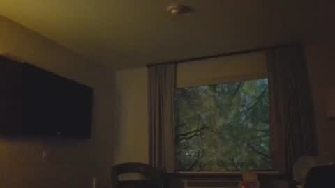 Daddy online show from November 2025 04:56:01 AM