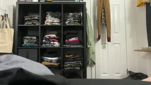 cowboy online show from November 2025 08:03:01 AM