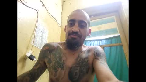 apapal12 online show from April 2026 06:03:02 AM