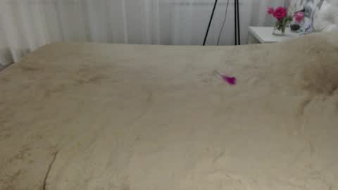 Snapshot of aphrodite83 chatting on September 2025 08:32:02 PM Aphrodite online show from September 2025 08:32:02 PM