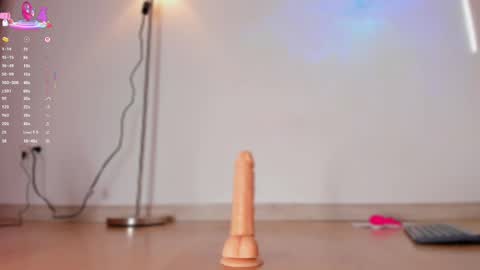 Snapshot of apoteosis_ chatting on February 2025 02:57:01 PM Apo online show from February 2025 02:57:01 PM