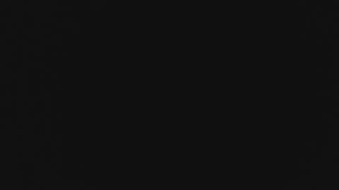 april1999350209 online show from December 2024 07:03:01 AM