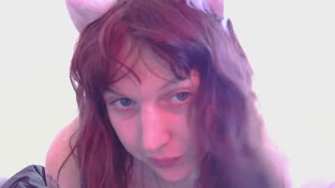 Snapshot of april_kitty chatting on March 2026 03:08:02 AM april_kitty online show from March 2026 03:08:02 AM