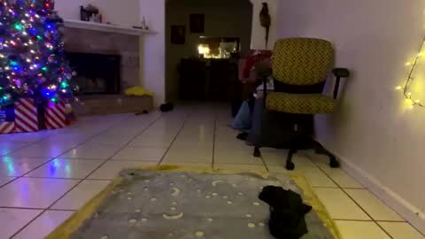 AnnaApril420 online show from December 2024 01:10:01 AM