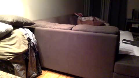 Snapshot of arabiandream21 chatting on September 2025 06:36:01 AM Knowledgeiskeyy online show from September 2025 06:36:01 AM