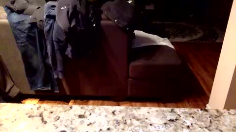 Snapshot of arabiandream21 chatting on January 2026 10:19:02 AM Knowledgeiskeyy online show from January 2026 10:19:02 AM