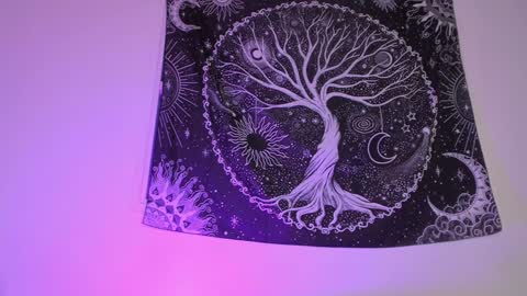 Aram 3 online show from January 2025 06:41:02 AM