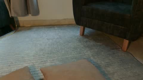 Snapshot of aramjoness chatting on March 2026 11:37:01 AM Aram - Next stream 28-01 online show from March 2026 11:37:01 AM