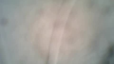 olo online show from October 2025 06:38:02 PM