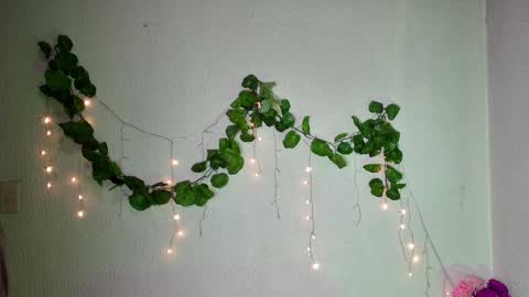 ari online show from February 2025 02:44:02 AM