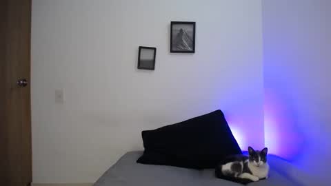  777 online show from December 2024 05:40:02 AM