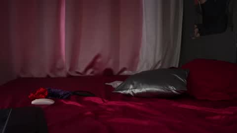 Snapshot of aria_leblanc chatting on April 2026 11:52:01 AM Aria online show from April 2026 11:52:01 AM