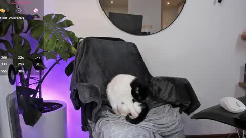 DaniAri - dimension X at night NY time online show from January 2025 03:47:01 AM