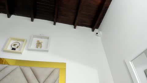  ARI  online show from January 2025 09:26:01 AM