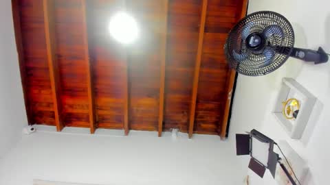  ARI  online show from December 2025 03:11:02 AM