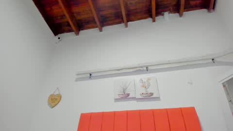  ARI  online show from December 2025 03:01:02 AM