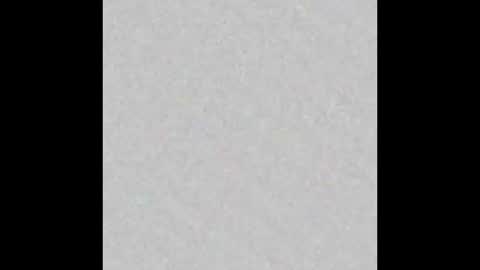 Arianna Collins online show from March 2025 12:04:02 PM