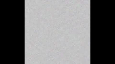 Arianna Collins online show from September 2025 11:45:01 AM