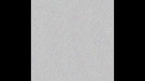 Arianna Collins online show from September 2025 11:48:01 AM