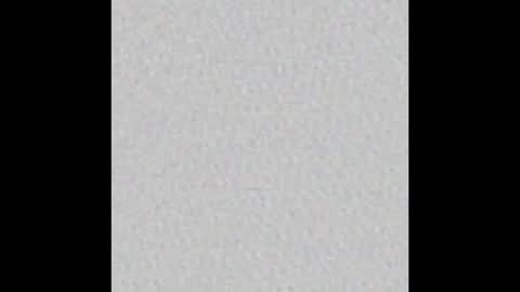 Arianna Collins online show from February 2026 11:38:02 AM